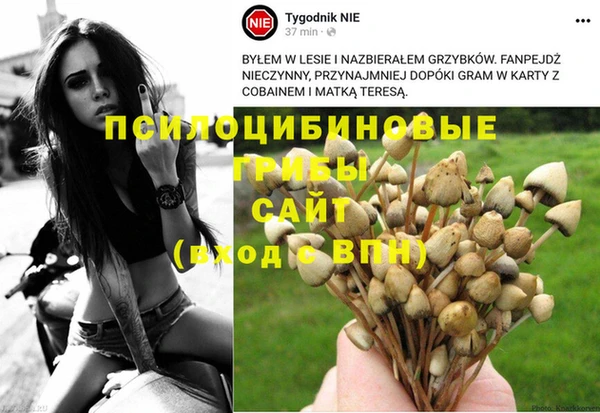 не бодяженный Приозерск