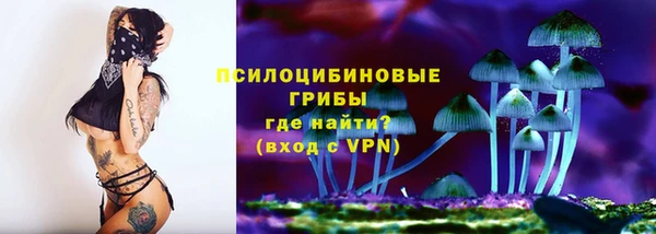 гидра Покровск