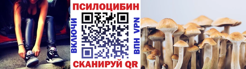 hydra ссылки  Волжский  Псилоцибиновые грибы MAGIC MUSHROOMS 