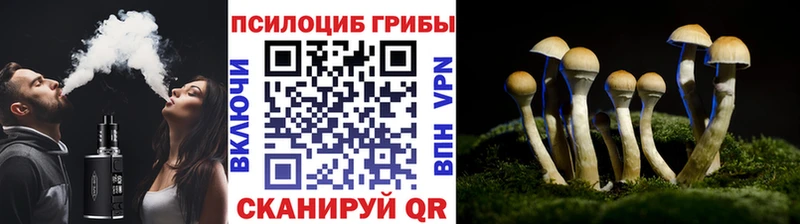 Галлюциногенные грибы Cubensis Волжский