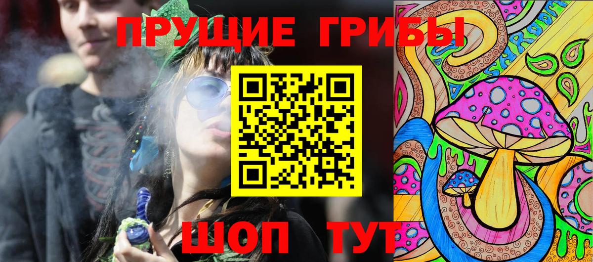 Галлюциногенные грибы Psilocybine cubensis  где купить наркоту  Волжский 