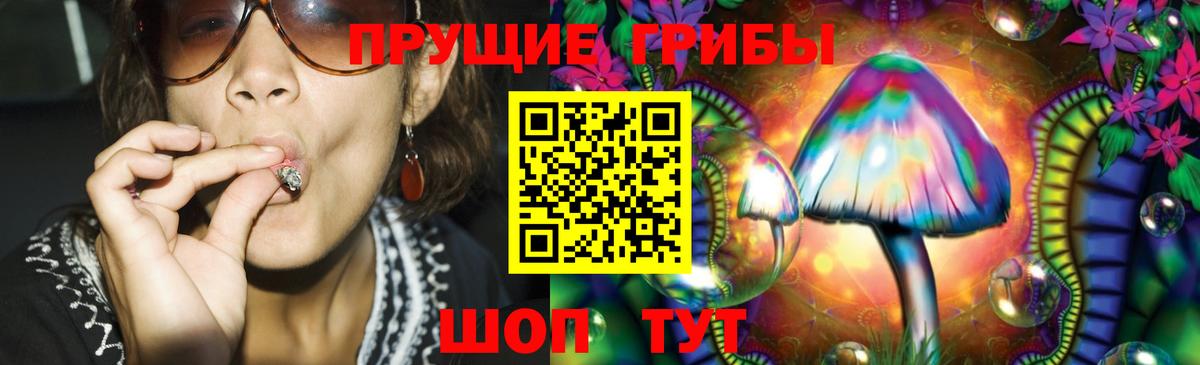 Галлюциногенные грибы Psilocybine cubensis  Вход с VPN  Волжский 